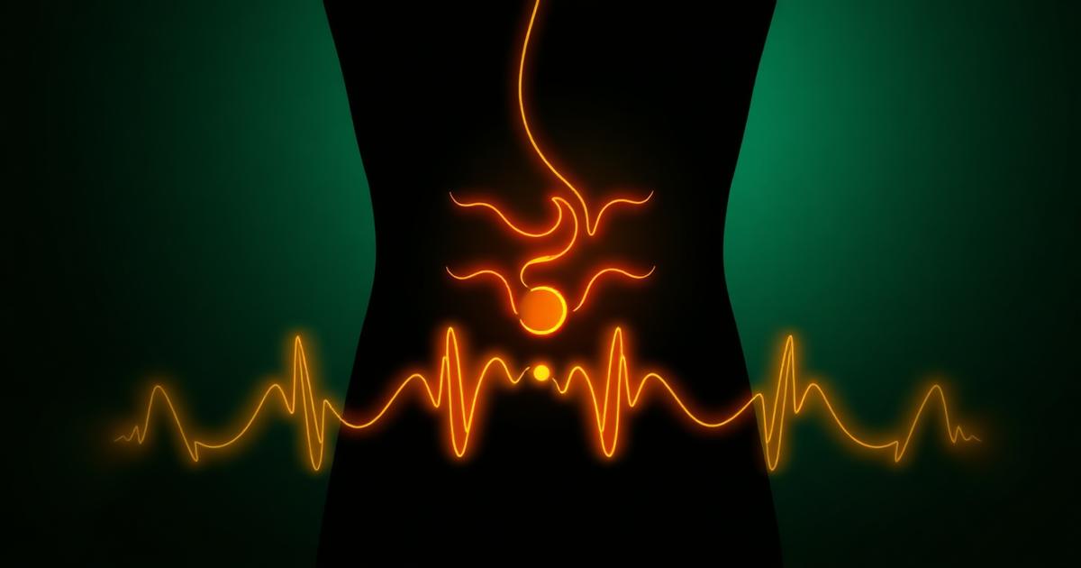 Abstract illustration of soothing warmth and breathing waves over the abdomen